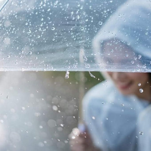 Umbrella Transparent Rain Windproof