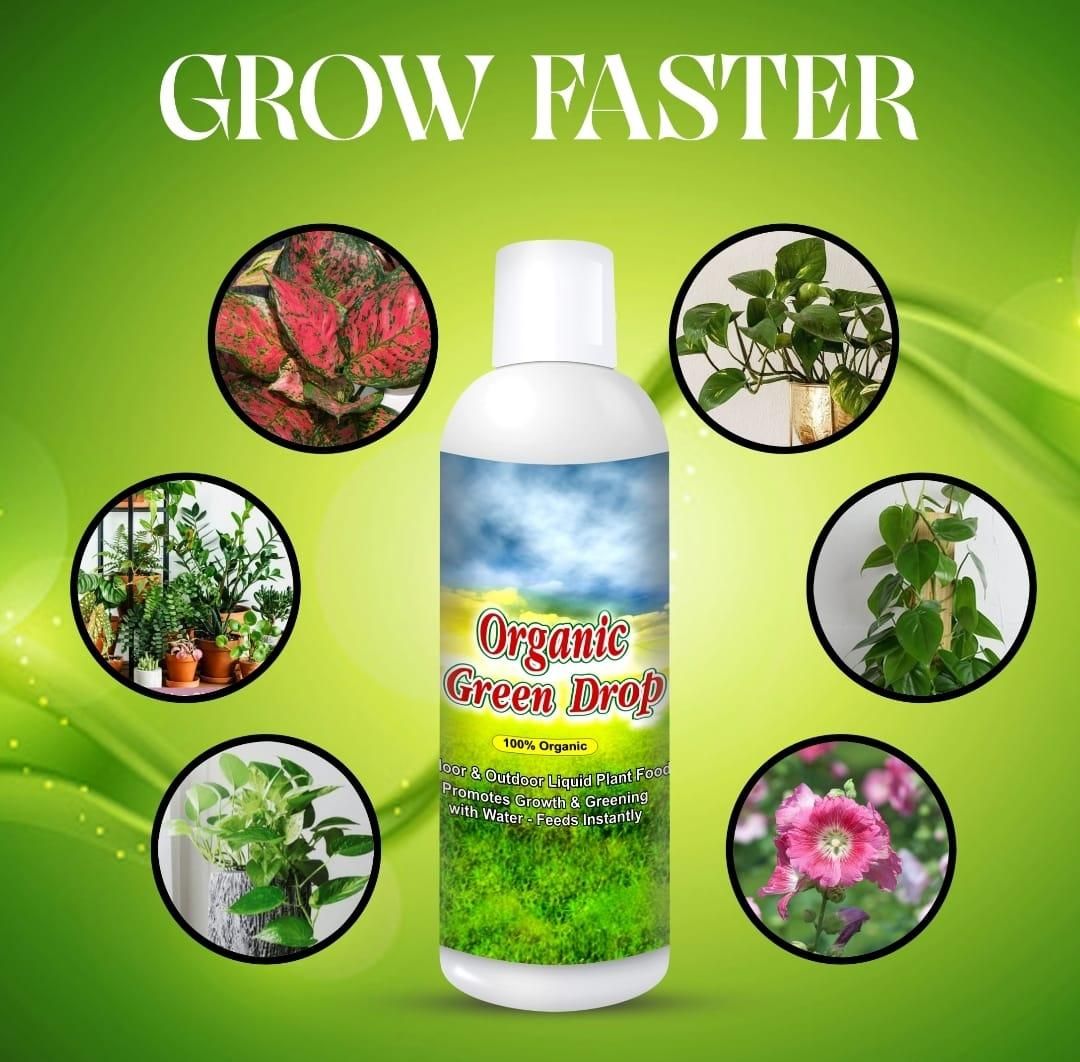 Organic Green Drop Plant Food Liquid Fertilizer For Plant Growth & Greening Pack of 1