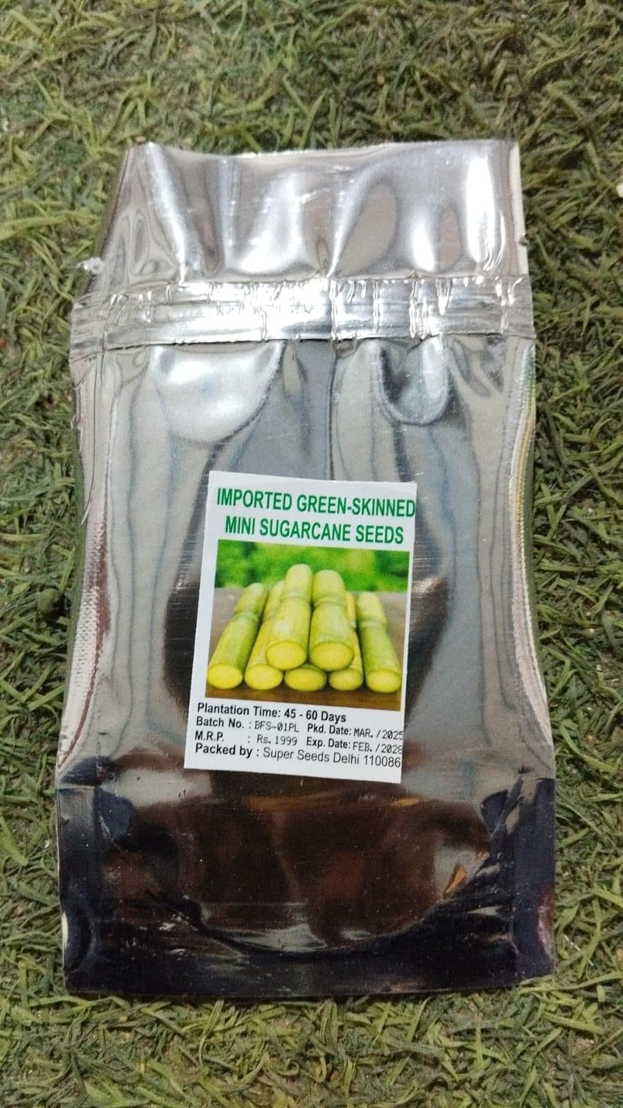 Sugar Cane Crop Seeds